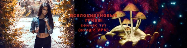 бошки Абдулино
