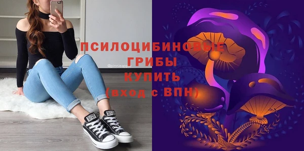 бошки Абдулино