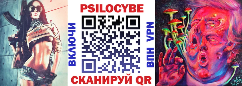закладка  Нижнекамск  Псилоцибиновые грибы MAGIC MUSHROOMS 
