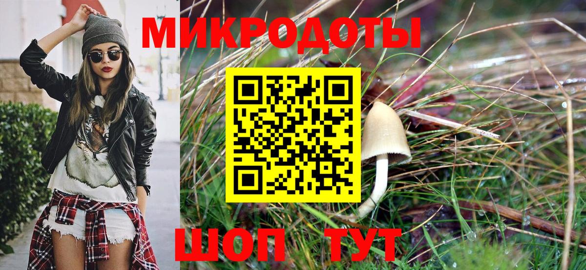 Псилоцибиновые грибы GOLDEN TEACHER Нижнекамск