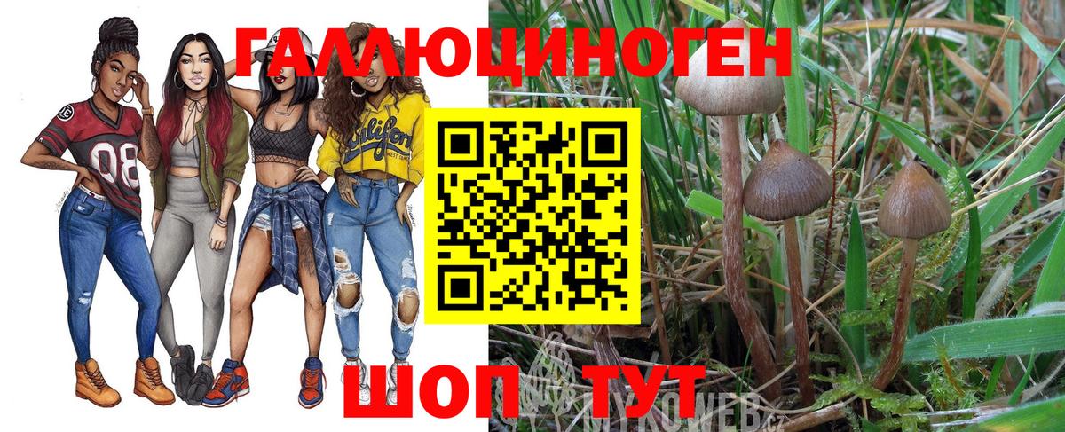 Нижнекамск  Галлюциногенные грибы мухоморы  Псилоцибиновые грибы мицелий  Вход с VPN 